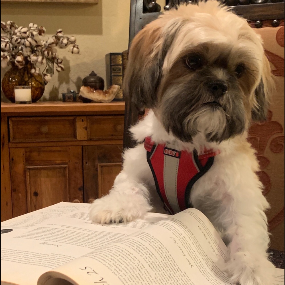 Meet your Posher, Tammy